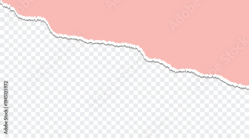 Turn paper vector background, Ripped paper border png transparent background, torn paper vector isload vector illustration.