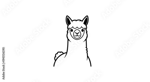 Cute Minimalist Alpaca Head Line Art Illustration on White Background