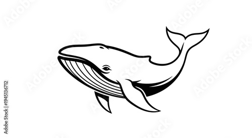 Graceful Whale Line Art Illustration on White Background