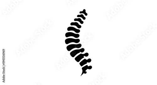 Minimalist Black Silhouette Human Spine Icon - Anatomy and Health Symbol