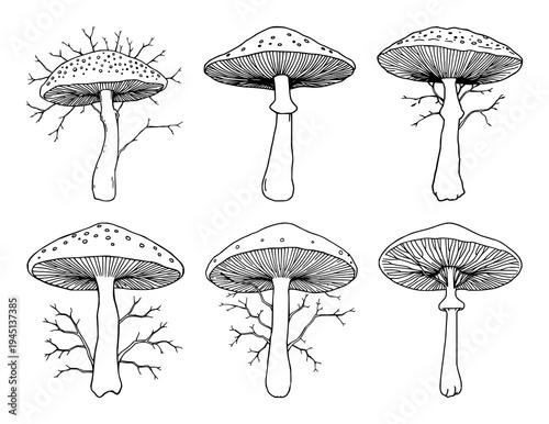 Mushroom mycelium network set with fine line art on white background featuring organic material, sustainable theme, delicate thin lines with illustration and vector