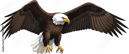 Majestic bald eagle with wings fully spread soaring forward isolated on a clean white background illustration