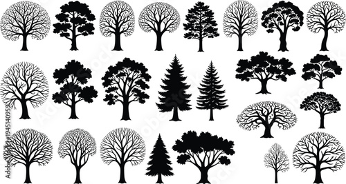 Vector illustration of silhouetted trees with diverse branching patterns and foliage symbolizing nature, identity, diversity, culture, tradition, inclusivity, heritage, and education