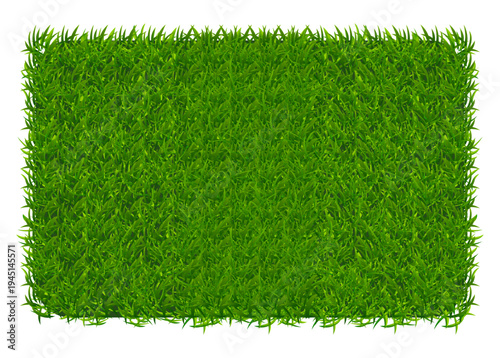 Green grass texture natural lawn banner background vector