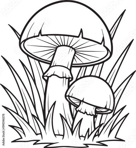 Black and white of two mushrooms growing in grass fungi nature 2 forest woodland