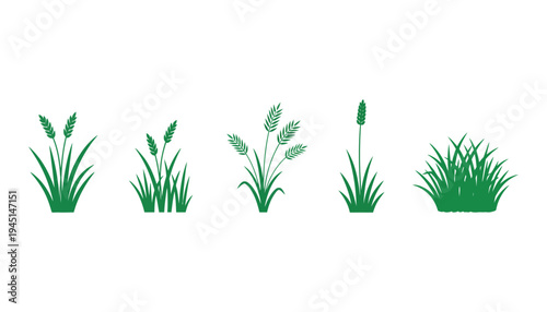 Grass vector icons in different styles and shapes on white background