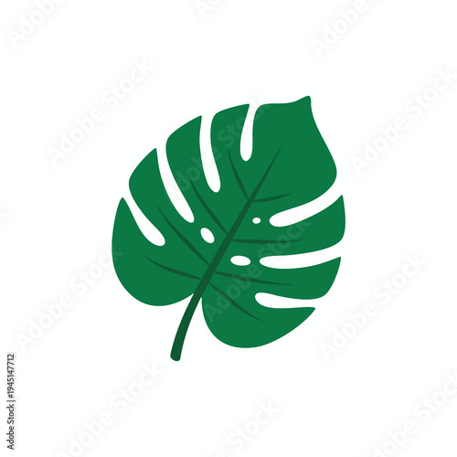 Stylized green leaf with splits and central vein on white background