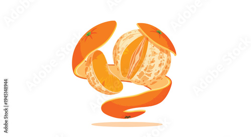 Fresh Peeled Mandarin Orange Fruit Illustration