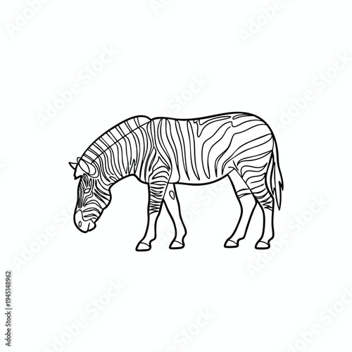 Stylized black and white outline of a zebra with distinctive stripes, head lowered