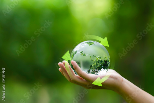 Wallpaper Mural Hand holding earth with circular economy concept. renewable energy, resource efficiency, waste reduction, ESG strategy, SDGs, and sustainable environment green business innovation. Torontodigital.ca