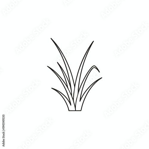 Stylized line drawing of a clump of grass blades on a white background