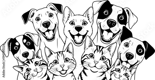 Dogs and cats looking happily at the camera with wide eyes
