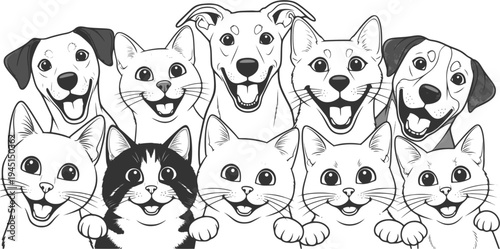 Dogs and cats looking happily at the camera with wide eyes
