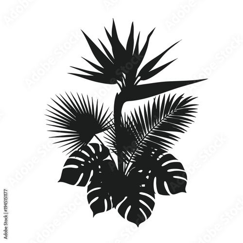 Silhouette of tropical foliage featuring a bird of paradise flower and palm leaves