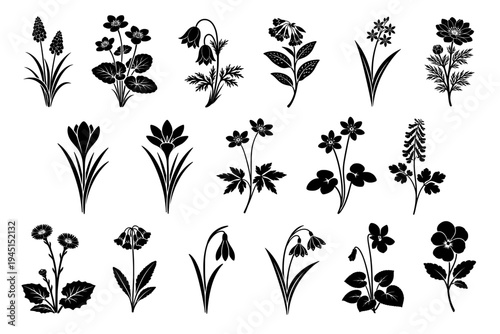 Early spring flowers silhouettes set, black botanical vector collection