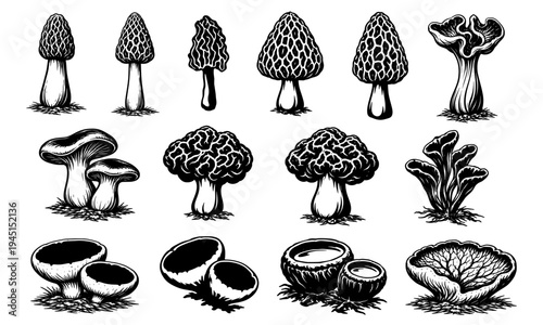 Early spring mushrooms silhouettes set, black vector collection