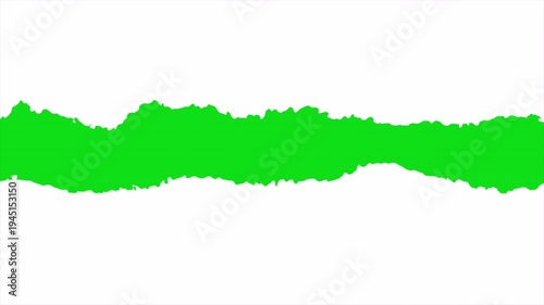 Green torn paper transition animation video. Ripped edge reveal effect with rough organic texture on transparent or white background 