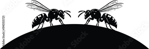Black and white vector illustration of two wasps on a curved surface in symmetrical silhouette for pest control logo design branding
