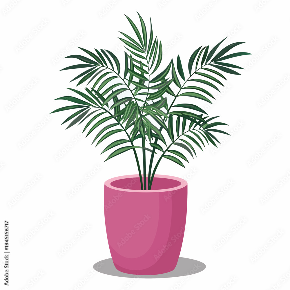 Fototapeta premium A vibrant areca palm plant flourishes within a pink ceramic pot