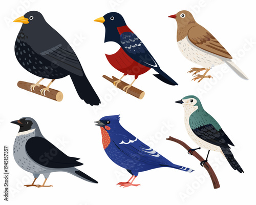 Colorful illustration depicts a collection of various perching birds
