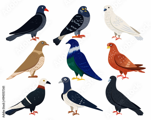 A colorful collection of pigeons and doves in a flat illustration