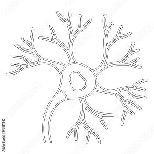 Minimal line of a neuron cell in black and white minimal line black and white simple biology neuroscience