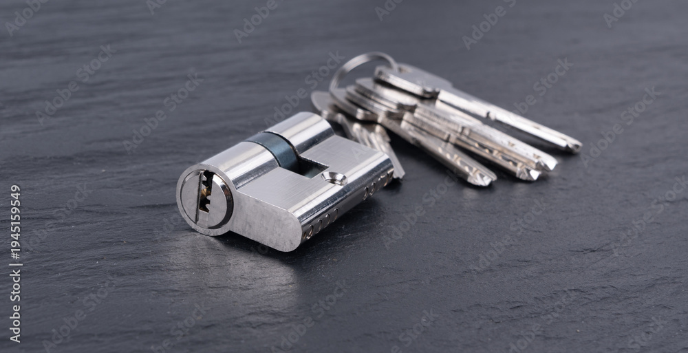 Fototapeta premium Keys and lock cylinder for door lock. Pin tumbler components ready to replace or repair