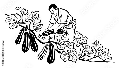 A farmer harvesting eggplants from a lush plant in a vector illustration