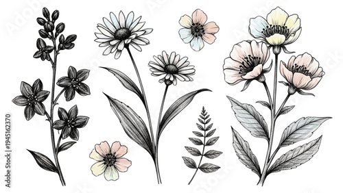 A vibrant floral arrangement of flowers and leaves on display