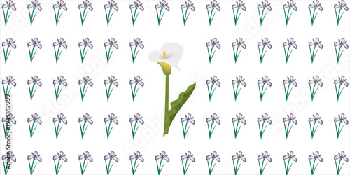 vector snowdrops