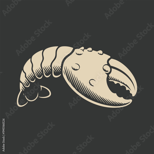 Fishing Lure With Shrimp Illustration