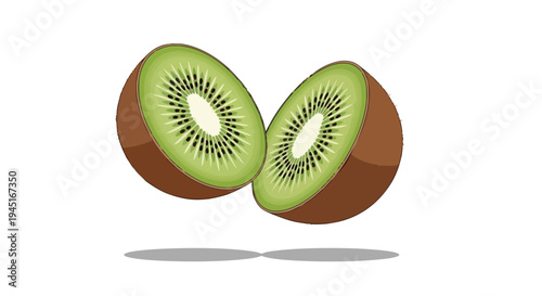 Vector illustration of two fresh kiwi fruit halves isolated on white background