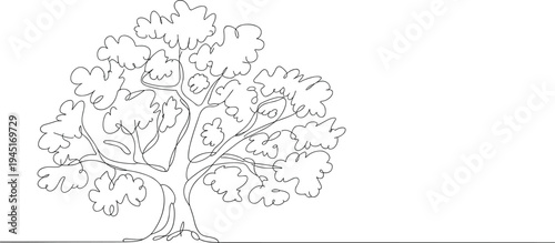 Single line drawing of a deciduous tree with a full canopy of leaves and branches on a white background Keywords: tree, drawing, single line, continuous line, outline, sketch, art