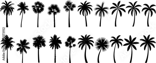 Palm Tree Silhouettes Black And White Icon Set