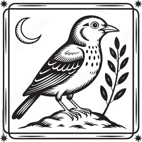 Black and white illustration of a bird perched on a rock under a crescent moon, evoking nature and night themes, tree branch