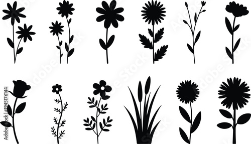Collection of black silhouette illustrations of various flowers and plants on a white background floral