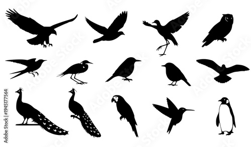 Bird silhouette vector set flying and perched birds wildlife illustration isolated on white background