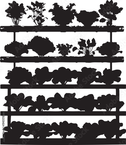 Hydroponic garden with multiple tiers of fresh green leafy plants