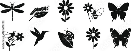 Nature insect and flower silhouettes set with butterfly dragonfly bee caterpillar hummingbird ladybug and floral icons vector illustration for wildlife design