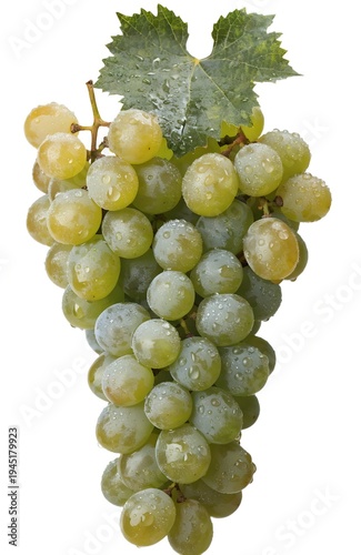 bunch of green grapes