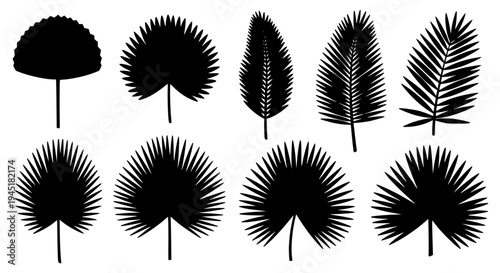 Leaves set with various black silhouettes and spiky outlines on white background featuring foliage, botanical