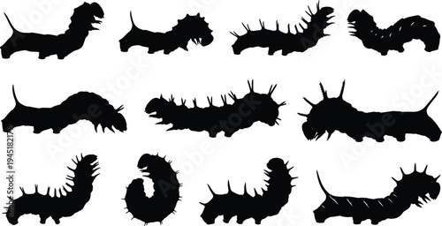 Caterpillar and worm silhouettes set crawling insect larvae shapes for nature wildlife biology illustration collection isolated vector design elements