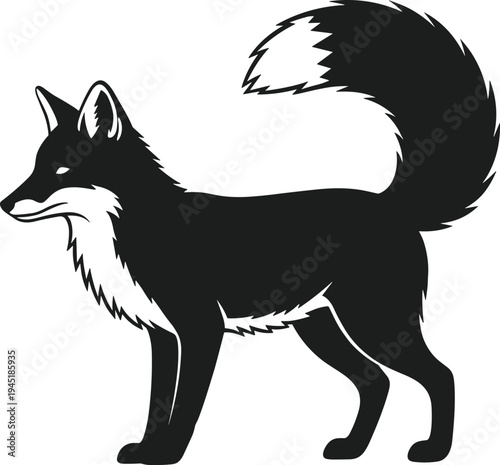 Black fox silhouette with bushy tail standing profile view animal wildlife