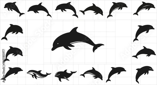 Black dolphin silhouettes on white background various poses swimming mammals ocean creatures
