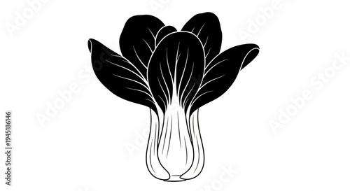 Black and white illustration of a fresh bok choy vegetable with large leaves on a plain background