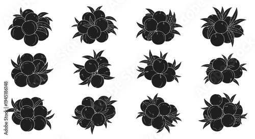 Blackberry fruit icons set in black and white with leaves on a white background for food and drink design