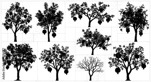 Set of black silhouette trees with hanging objects on white background for design and decoration