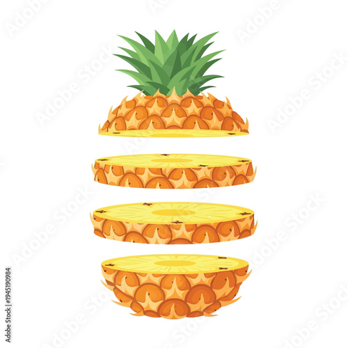 Vibrant illustration of a fresh pineapple expertly sliced into four separate pieces floating against a white background.