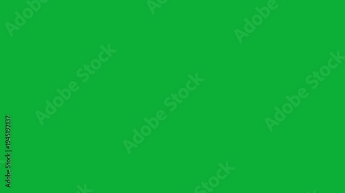 White torn paper roll reveal transition on green screen background, ripped paper edge animation overlay for video editing