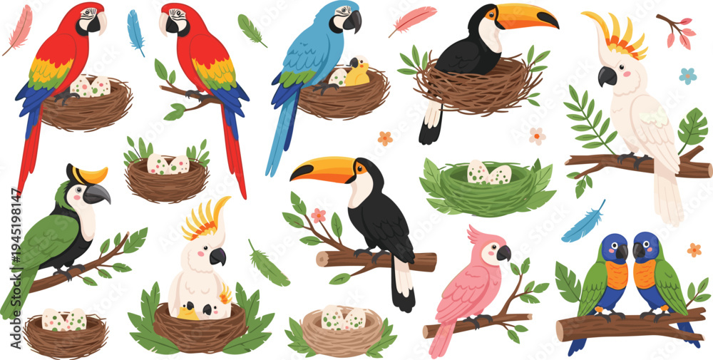 Fototapeta premium Exotic Tropical Birds Nest and Eggs Collection with Parrots Toucans Cockatoos and Colorful Jungle Birds Sitting on Nests Vector Illustration Set